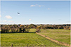 Oak House View